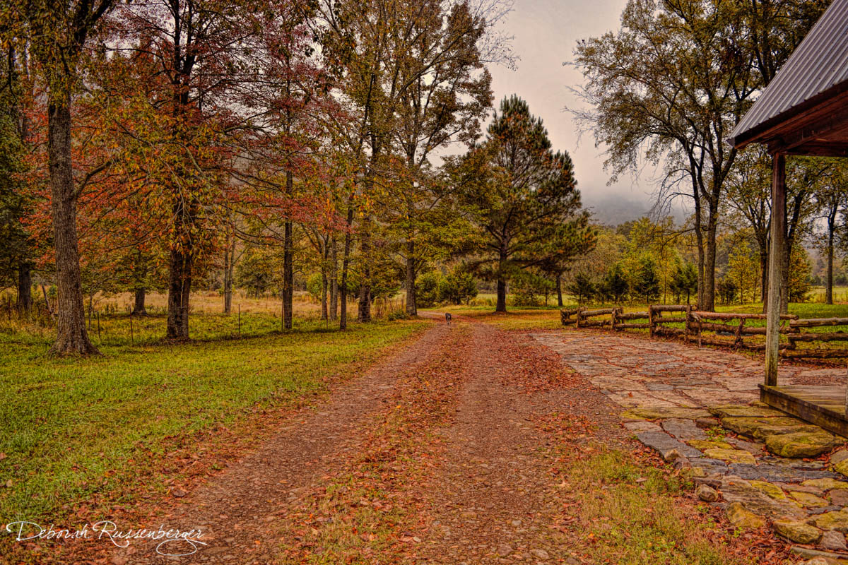 Autumn Driveway