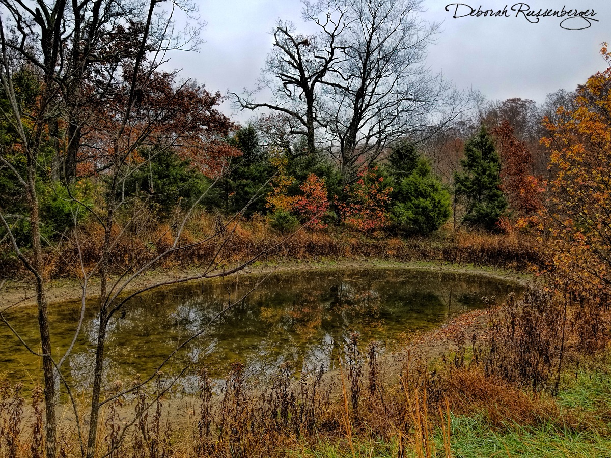 Second Pond in Autumn